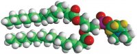 16:0 PC-d4 860351P-10MG