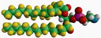 16:0 PE-d62 860372P-10MG