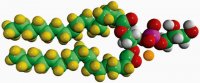16:0 PG-d62 