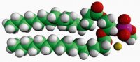 16:0 Phosphatidylmethanol 840419C-25MG