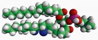 16:0-18:0 (9-10BR) PC 850481C-10MG