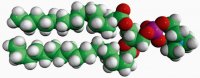 16:0-18:0 PC 850456C-25MG