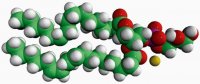 16:0-18:2 PG 840497C-25MG