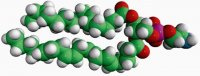 16:0-20:4 PE 850759C-25MG
