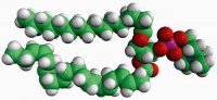 16:0-22:6 PC 850461C-25MG