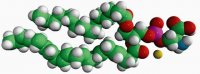 16:0-22:6 PS 840062C-25MG