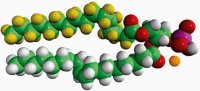 16:0-d31-18:1 PA 860453P-10MG