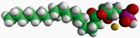 18:0 Lyso PA 857128P-25MG