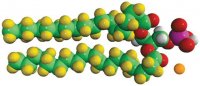 18:0 PA-d70 860454P-10MG