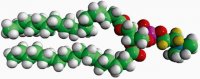18:0 PC-d4 860361P-10MG