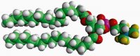 18:0 PC-d9 860362P-10MG