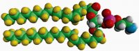 18:0 PE-d70 860373P-10MG