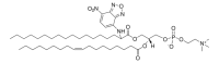 18:0(2-NBD)-18:1 PC 810169C-1MG