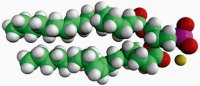 18:0-18:1 PA 840861P-25MG