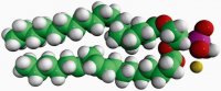 18:0-18:2 PA 840862C-25MG