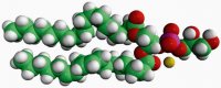 18:0-18:2 PG 840504C-25MG