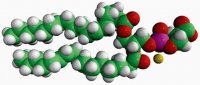 18:0-18:2 PS 840063P-10MG