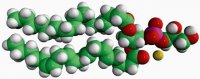 18:0-20:4 PG 840505C-25MG