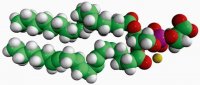 18:0-20:4 PS 840064C-25MG