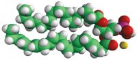 18:0-22:6 PA 840864C-25MG
