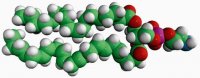 18:0-22:6 PE 850806C-25MG