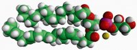 18:0-22:6 PG 840506C-25MG