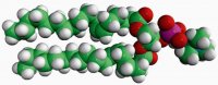 18:1 (6-Cis) PC 850374C-25MG