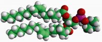 18:1 (9-Cis) PC (DOPC) 