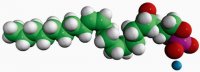 18:1 Cyclic LPA 857328P-1MG