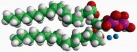 18:1 DGPP 810811P-5MG