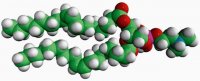 18:1 Dimethyl PE 850852P-25MG