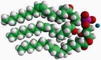 18:1 Hemi BMP (S,R) 857134P-5MG