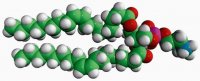 18:1 Monomethyl PE 850850P-25MG