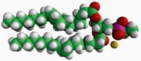 18:1 Phosphatidylethanol 840513P-25MG