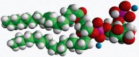18:1 PI(5)P 