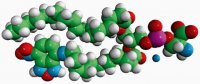 18:1-12:0 NBD PS 810195C-1MG