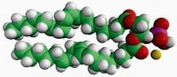 18:2 PA 840885C-25MG