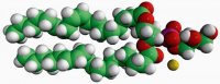 18:2 PG 840485C-25MG