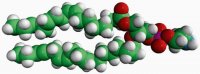 18:3 PE 850795C-25MG