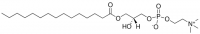 19:0 Lyso PC 855776C-25MG