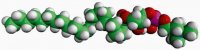 22:0 Lyso PC 855779P-25MG