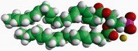 22:6 PA 840887C-25MG