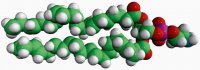 22:6 PE 850797C-25MG