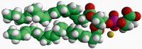 22:6 PS 840067C-25MG