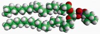 24:0 PC 850373C-25MG