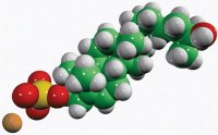 25-hydroxycholesterol-3-sulfate 