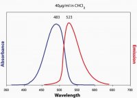 25-NBD Cholesterol 