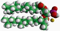 4ME 16:0 PA 850406C-25MG