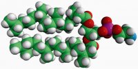 4ME 16:0 PE 850402C-25MG