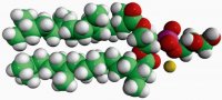 4ME 16:0 PG 850404P-25MG